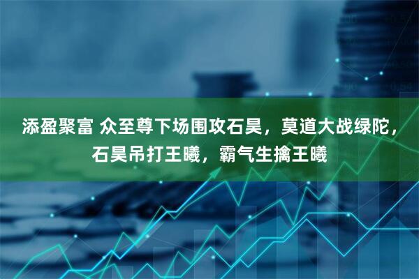 添盈聚富 众至尊下场围攻石昊，莫道大战绿陀，石昊吊打王曦，霸气生擒王曦