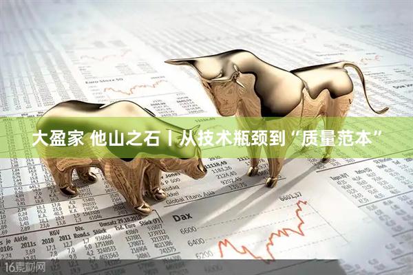 大盈家 他山之石丨从技术瓶颈到“质量范本”